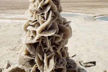 Screenshot 2025 06 12 At 8.56.09 Pm